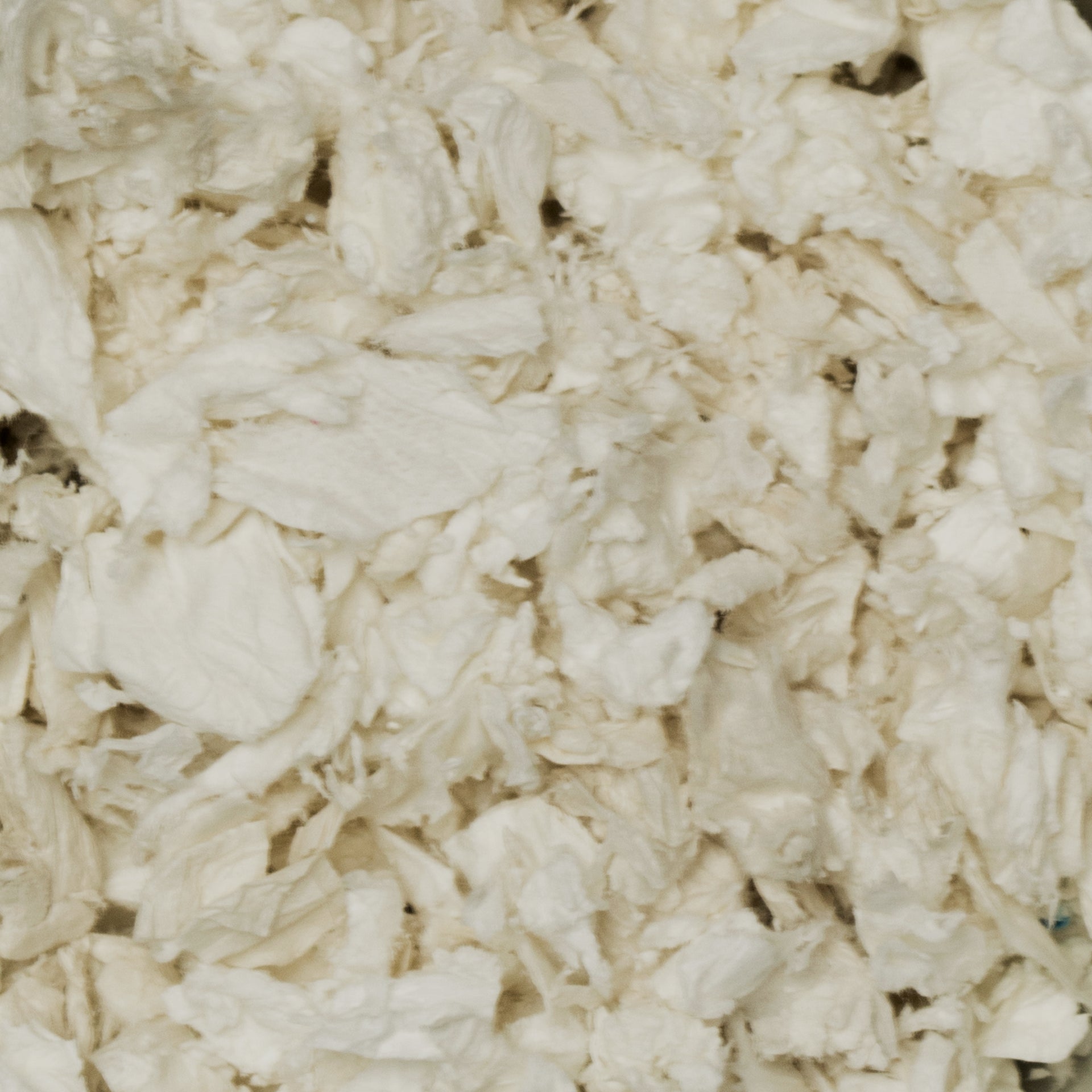 Paper Bedding Compressed and Absorbent 200g