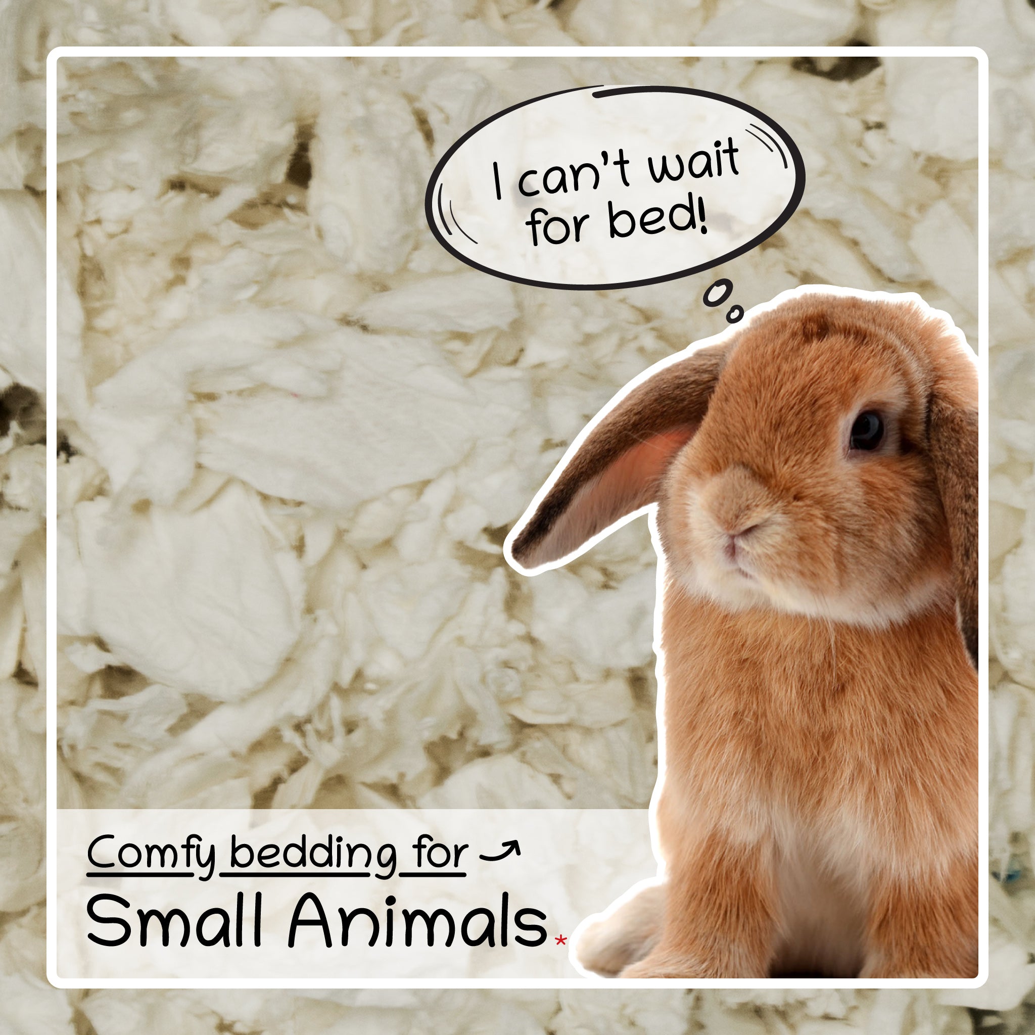 Paper Bedding Compressed and Absorbent 200g