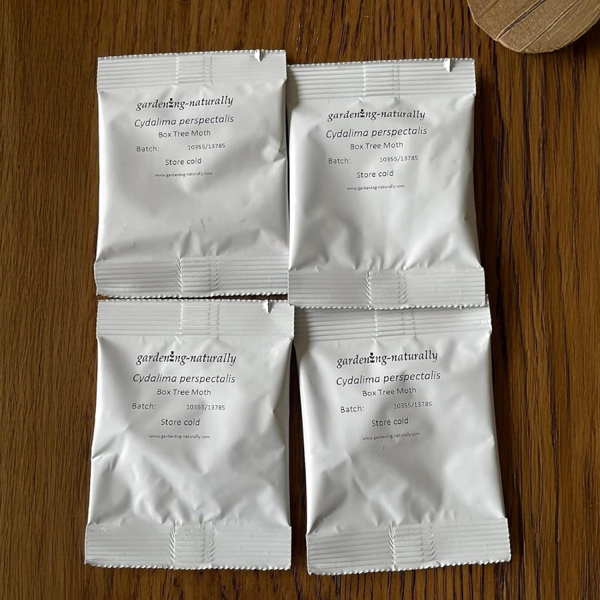 Box Moth Trap Refill - 4 Pheremone Lures - Seedzbox