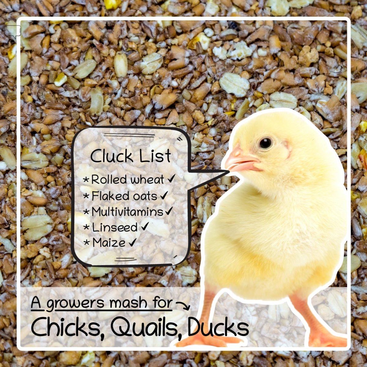 Chick Crumb Food 1.8kg / 5.5kg - Food For Chicks, Duckling & Quail - Seedzbox0604565468109