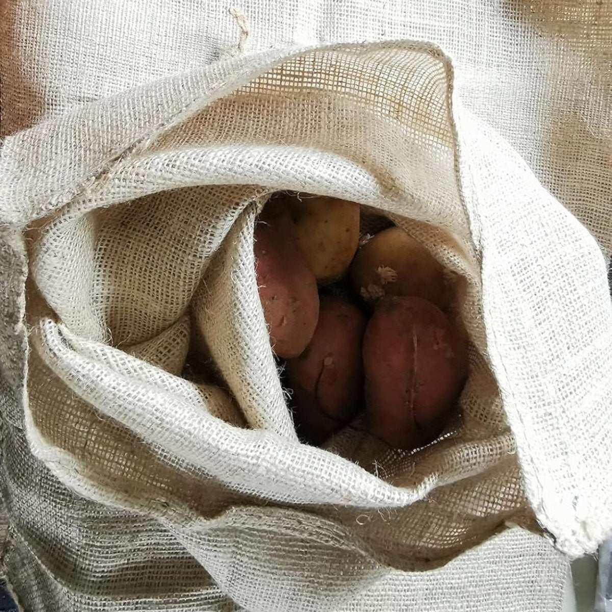 Hessian Potato Sacks | Storage Container - Pack of 2 - Seedzbox