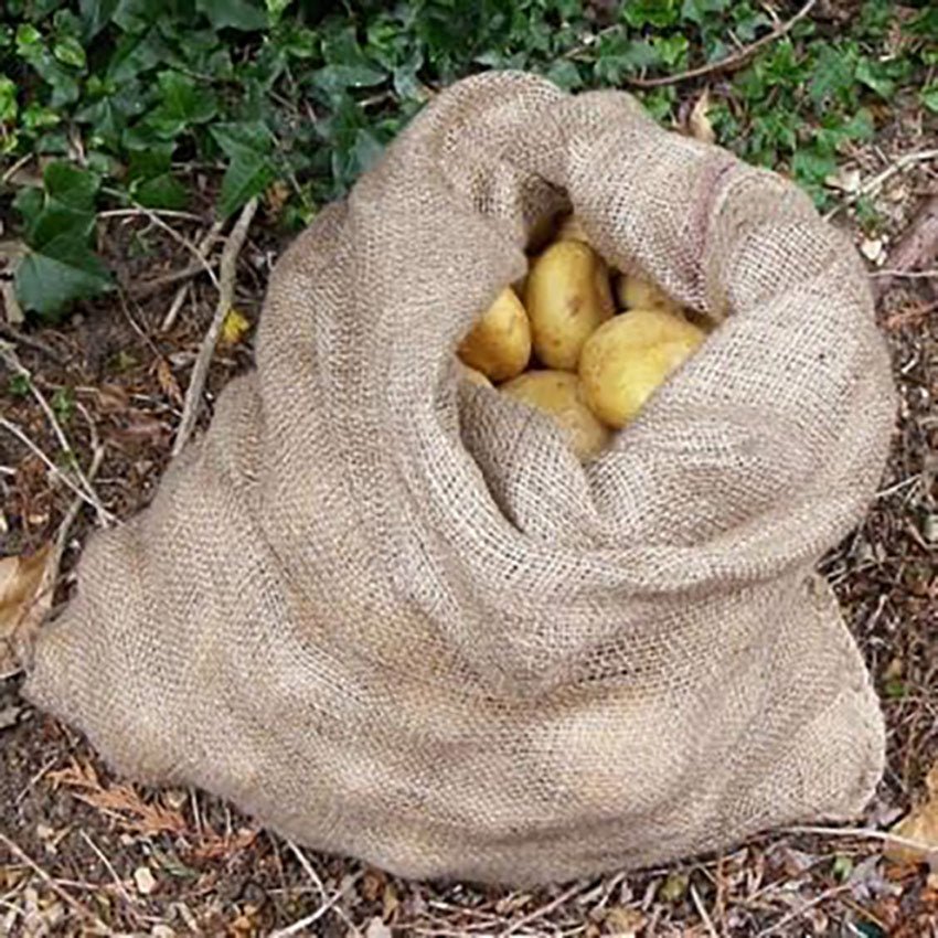 Hessian Potato Sacks | Storage Container - Pack of 2 - Seedzbox