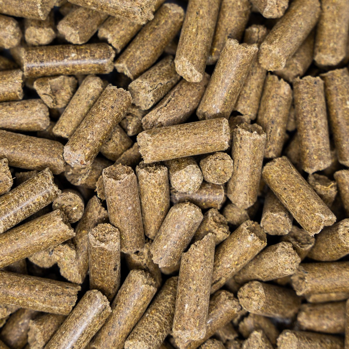 Horse Treats - Minty Flavour - Seedzbox5060910342800