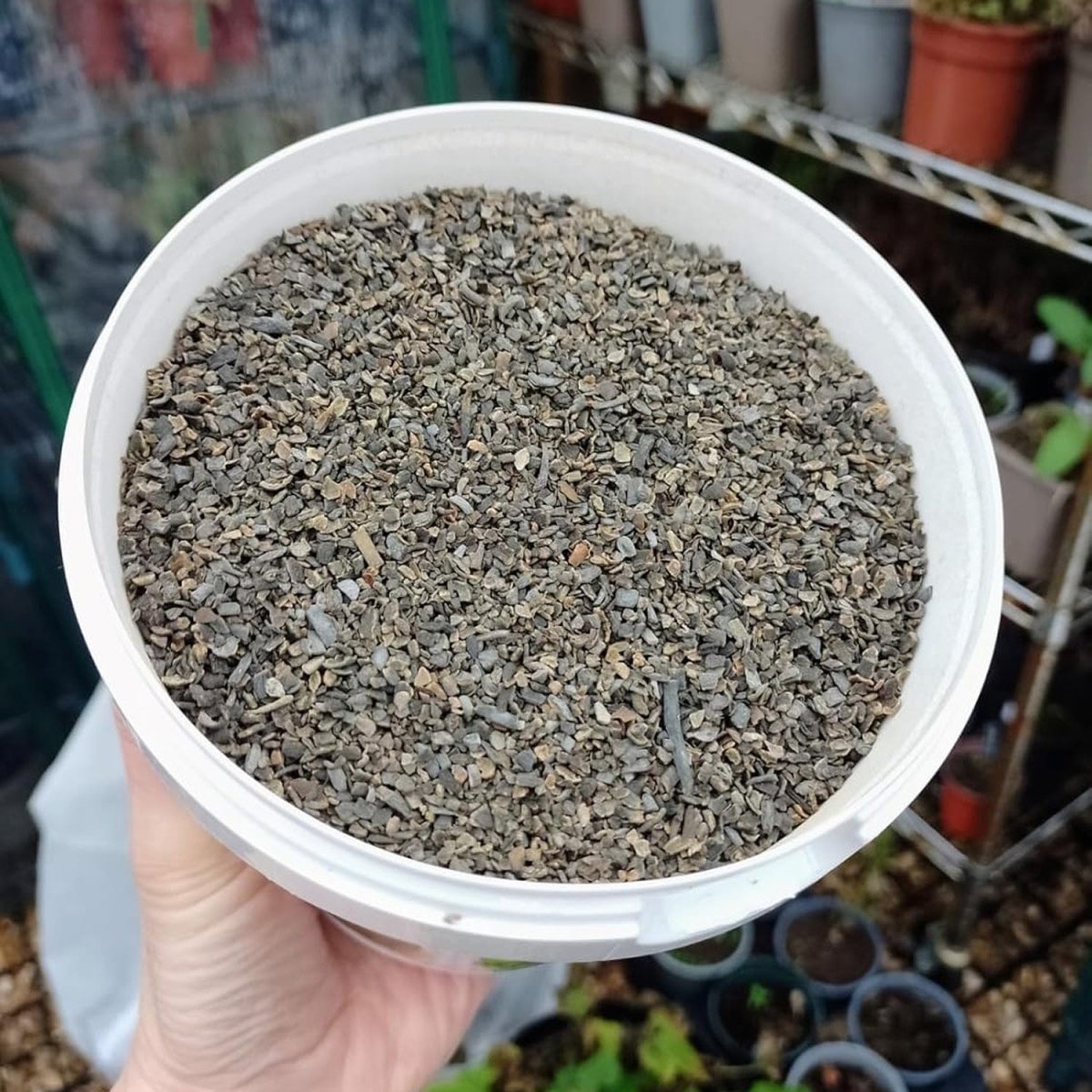 Slug & Snail Repellent – Indoor and Outdoor Use - Seedzbox