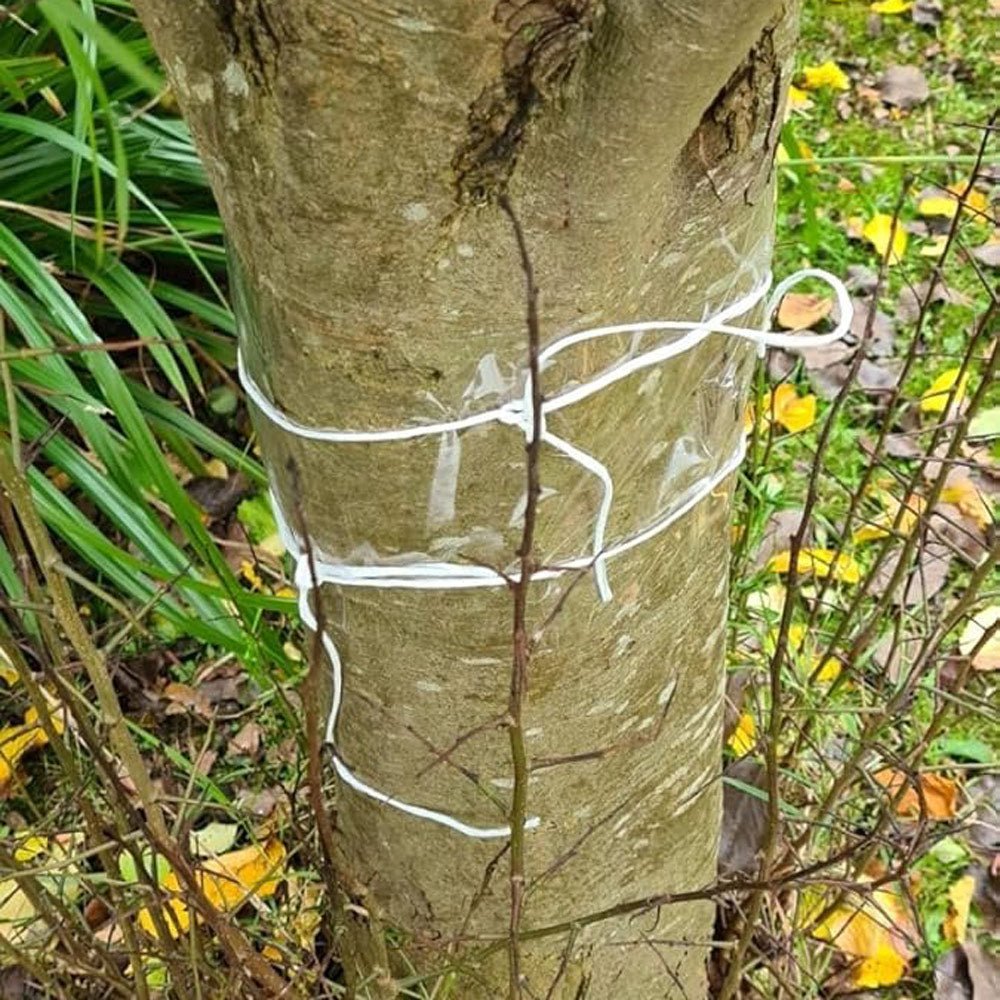 Tree Grease Glue Bands For Fruit Trees 1m - Pack of 2 - Seedzbox