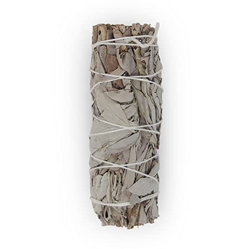 California White Sage Bundle of 3 x 4inch White Sage Smudge Sticks - Seedzbox5060910340646