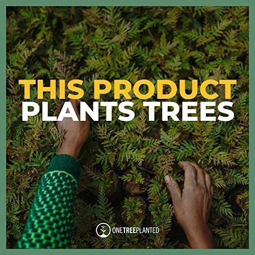 California White Sage Bundle of 3 x 4inch White Sage Smudge Sticks - Seedzbox5060910340646