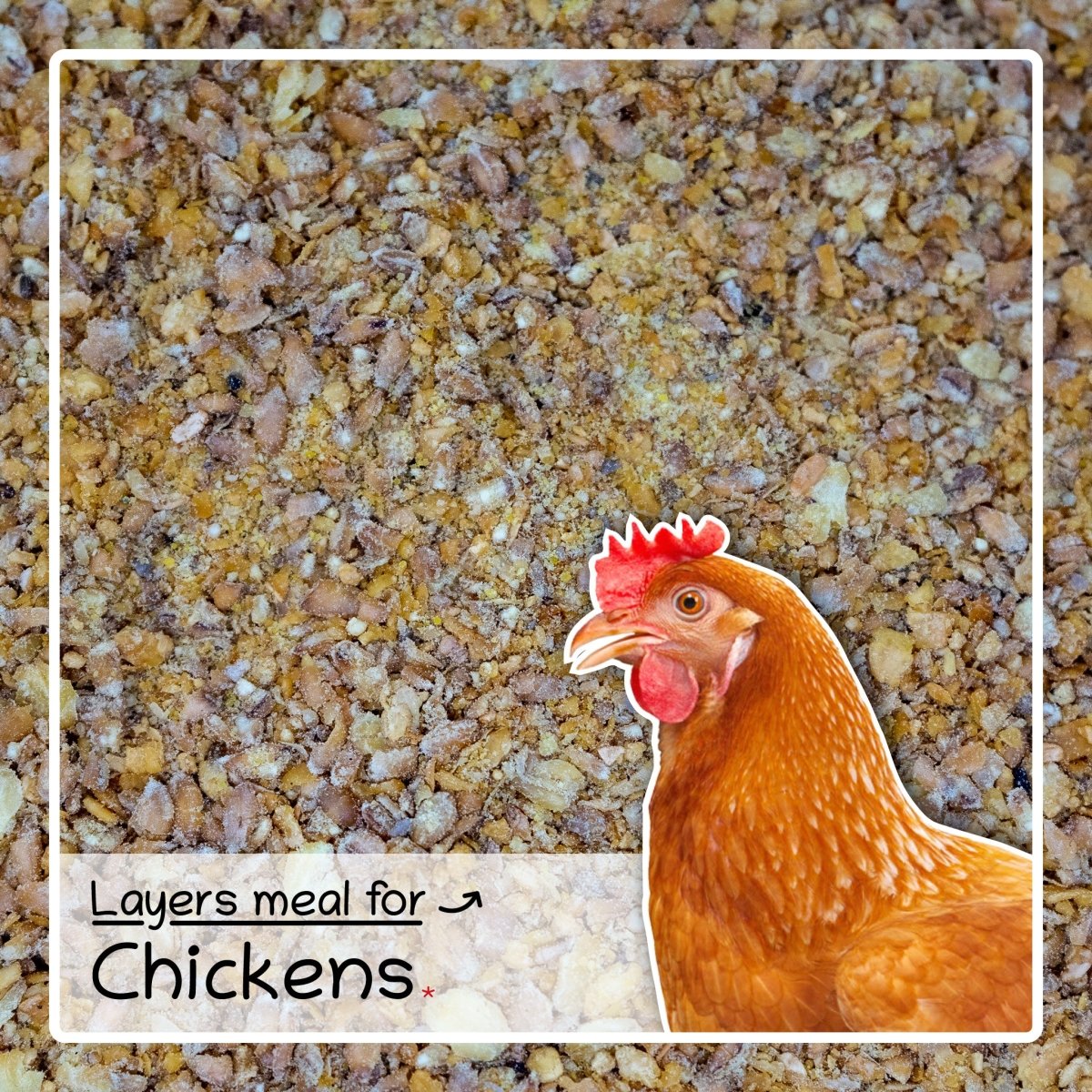 Complete Food For Chickens, Coarse Poultry Chicken Feed Layers Meal 4kg - Seedzbox5060910340578
