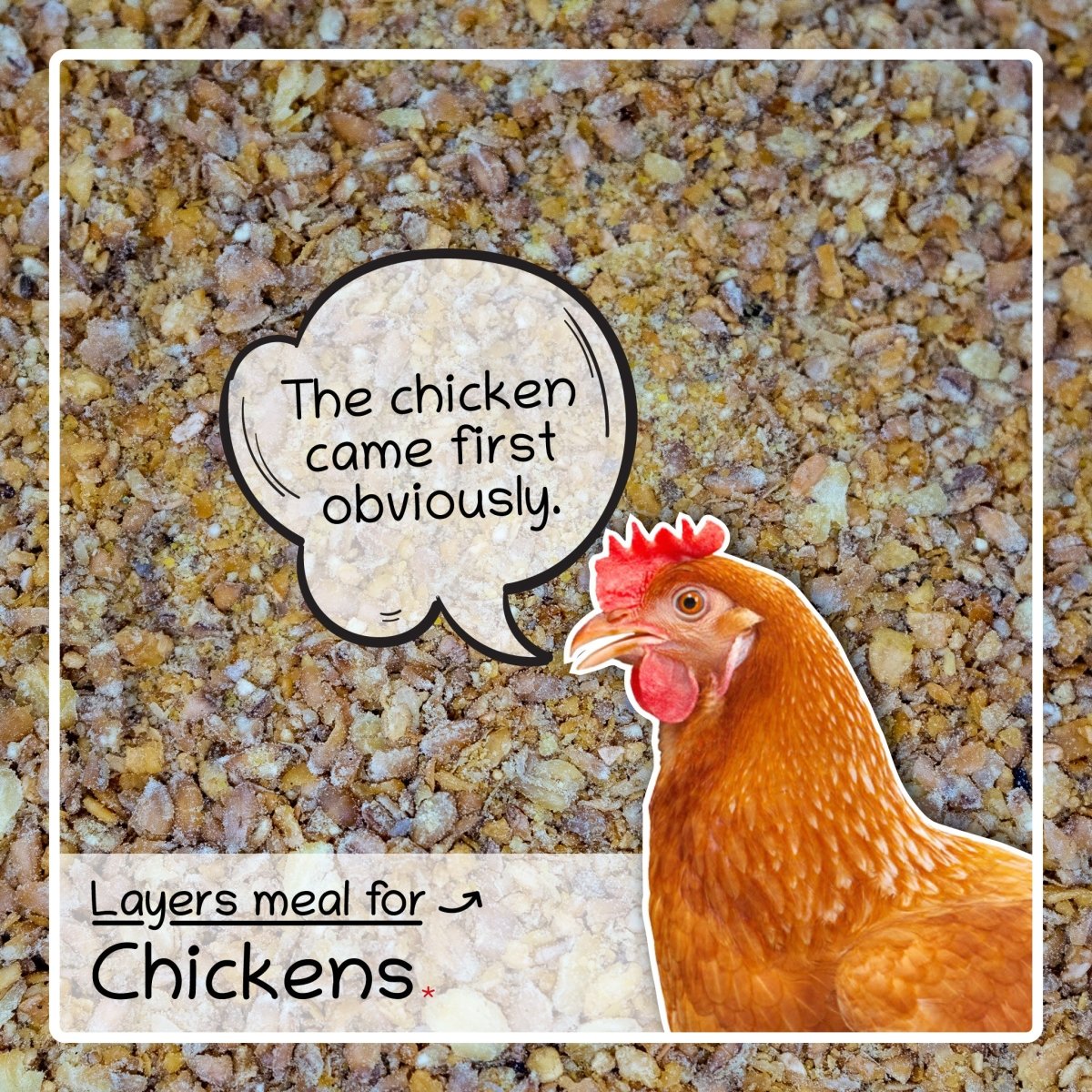 Complete Food For Chickens, Coarse Poultry Chicken Feed Layers Meal 4kg - Seedzbox5060910340578