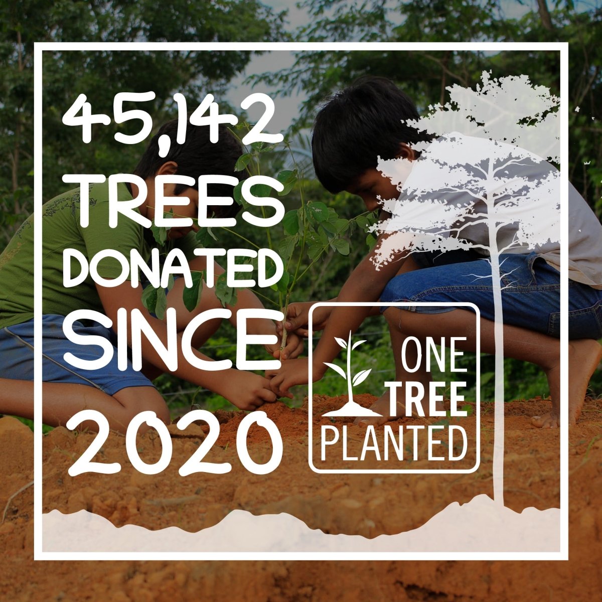 Nesting Wool - Red Barn - Seedzbox700461453666