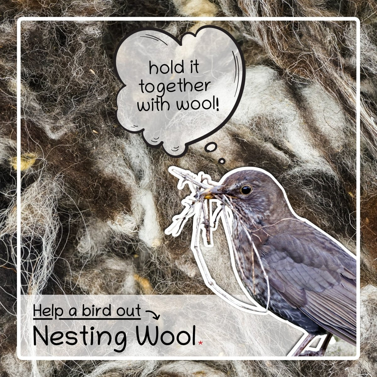 Nesting Wool - Red Barn - Seedzbox700461453666