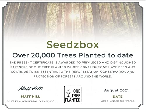 Seedzbox New Mexico Desert Sage Bundle of 3 x 4inch White Sage Smudge Sticks - Seedzbox5060910340653