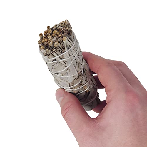 Seedzbox New Mexico Desert Sage Bundle of 3 x 4inch White Sage Smudge Sticks - Seedzbox5060910340653