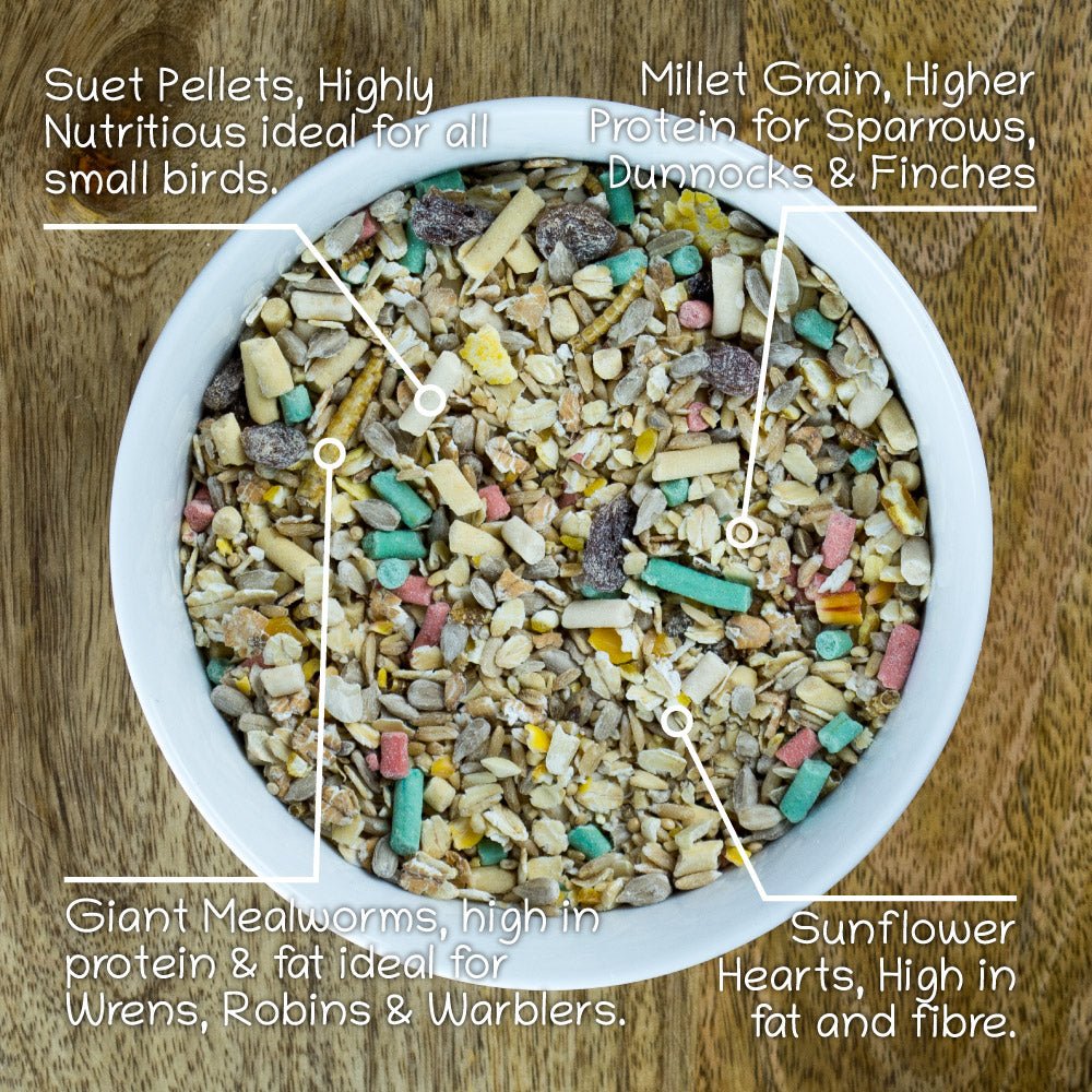 Ultimate Bird Food Seed Mix with Giant Mealworms & Suet Pellets, 2kg & 5kg - Seedzbox0604565368980