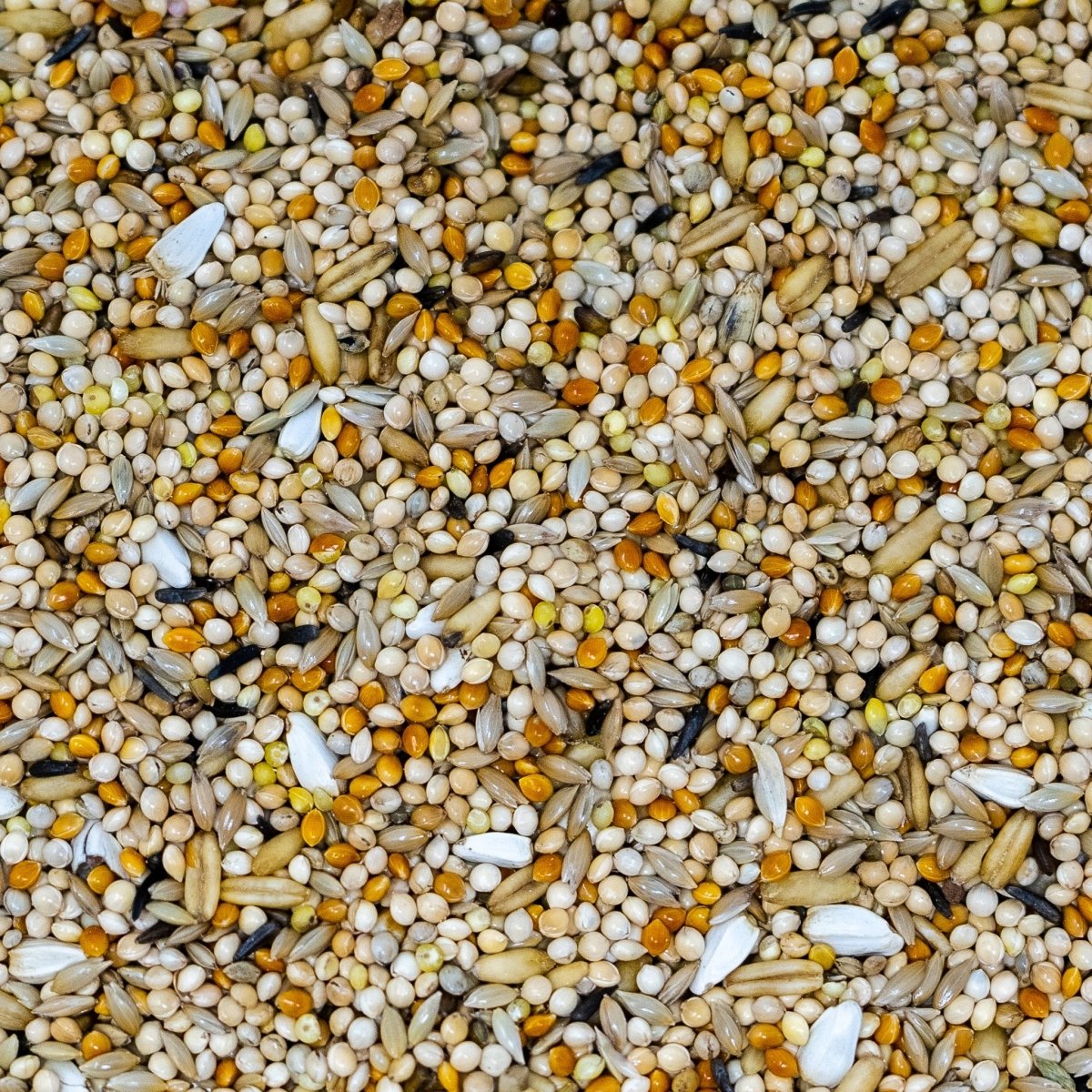 Ultimate Deluxe Budgie Food Budgerigar Seed Mix 1kg - Seedzbox0604565387004