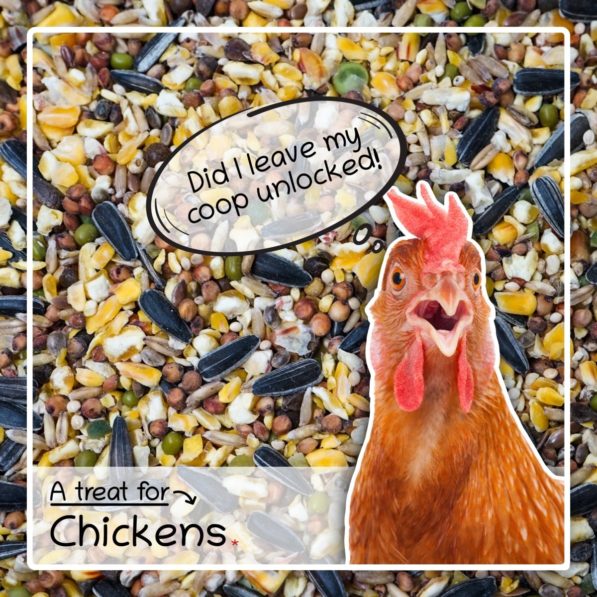 Ultimate Deluxe Chicken Food Poultry Feed Treat Mix 4kg - Seedzbox0604565424945