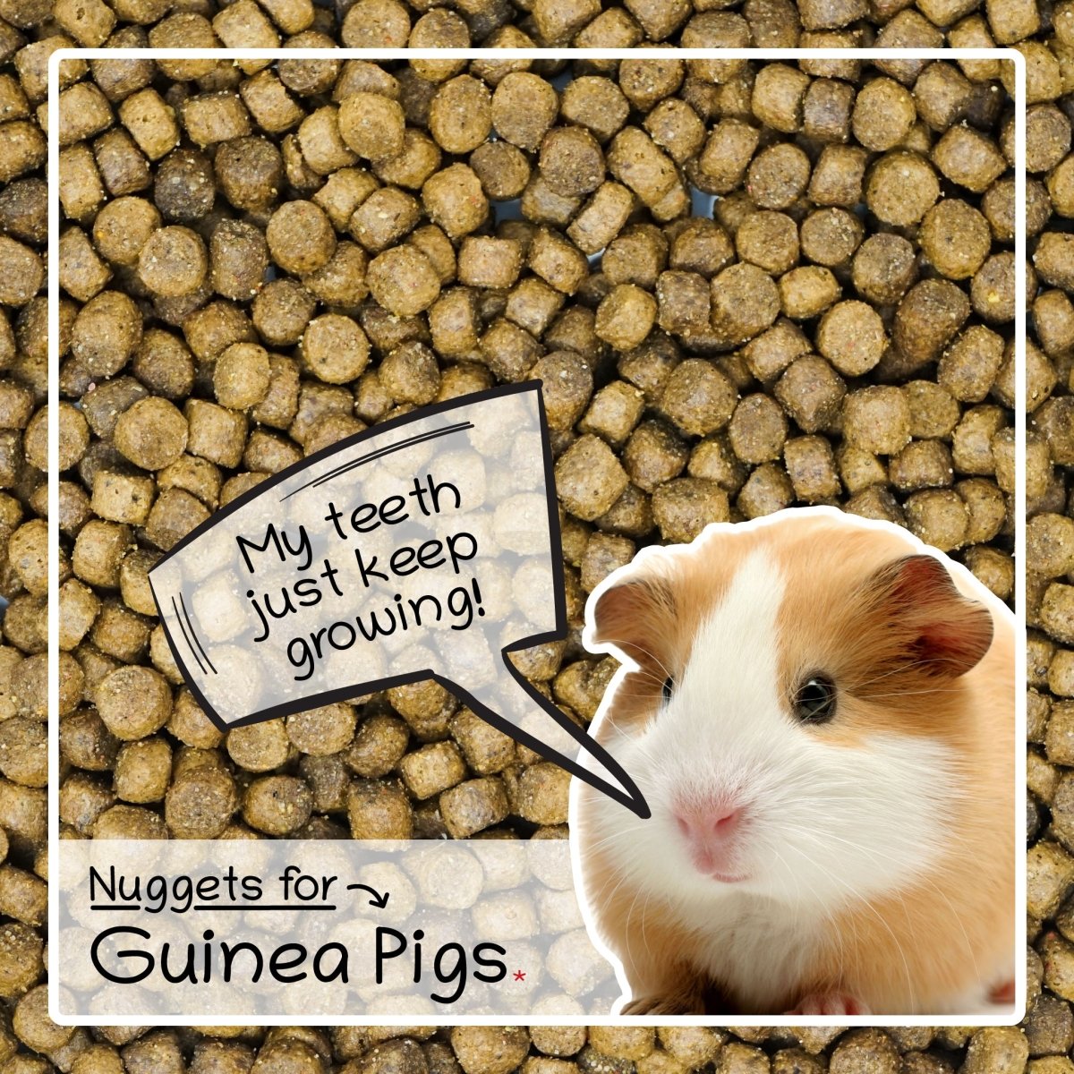 Ultimate Deluxe Guinea Pig Food Nuggets Mix 2kg - Seedzbox0604565424938