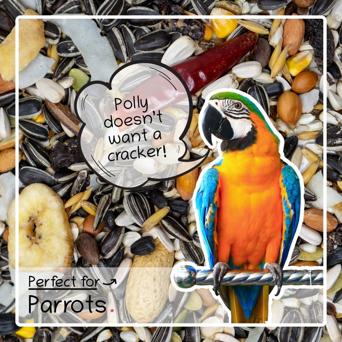Ultimate Deluxe Parrot Food Seed & Nut Feed Mix 2kg - Seedzbox0604565386991