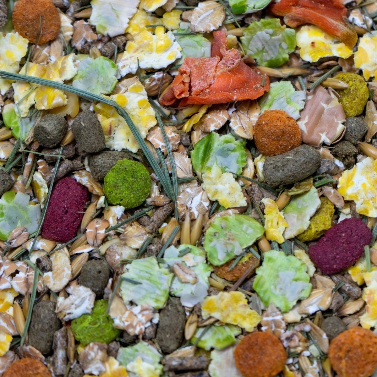 Ultimate Deluxe Rabbit Crunchy Food Treat Feed Mix 2.5kg - Seedzbox0604565387059