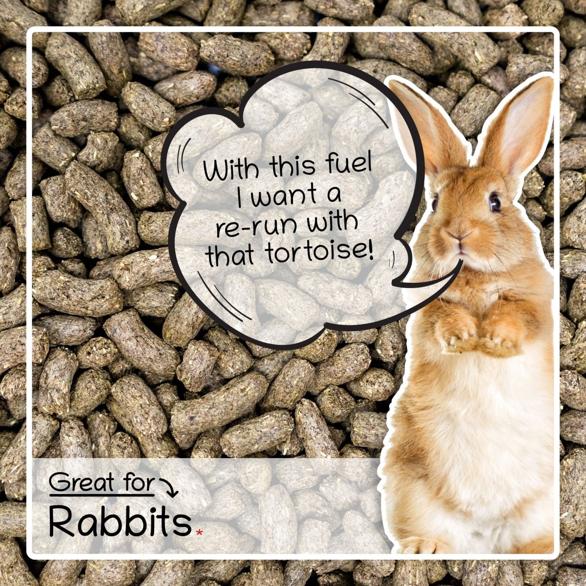 Ultimate Deluxe Rabbit Nuggets Mix 2kg - Seedzbox0604565424921