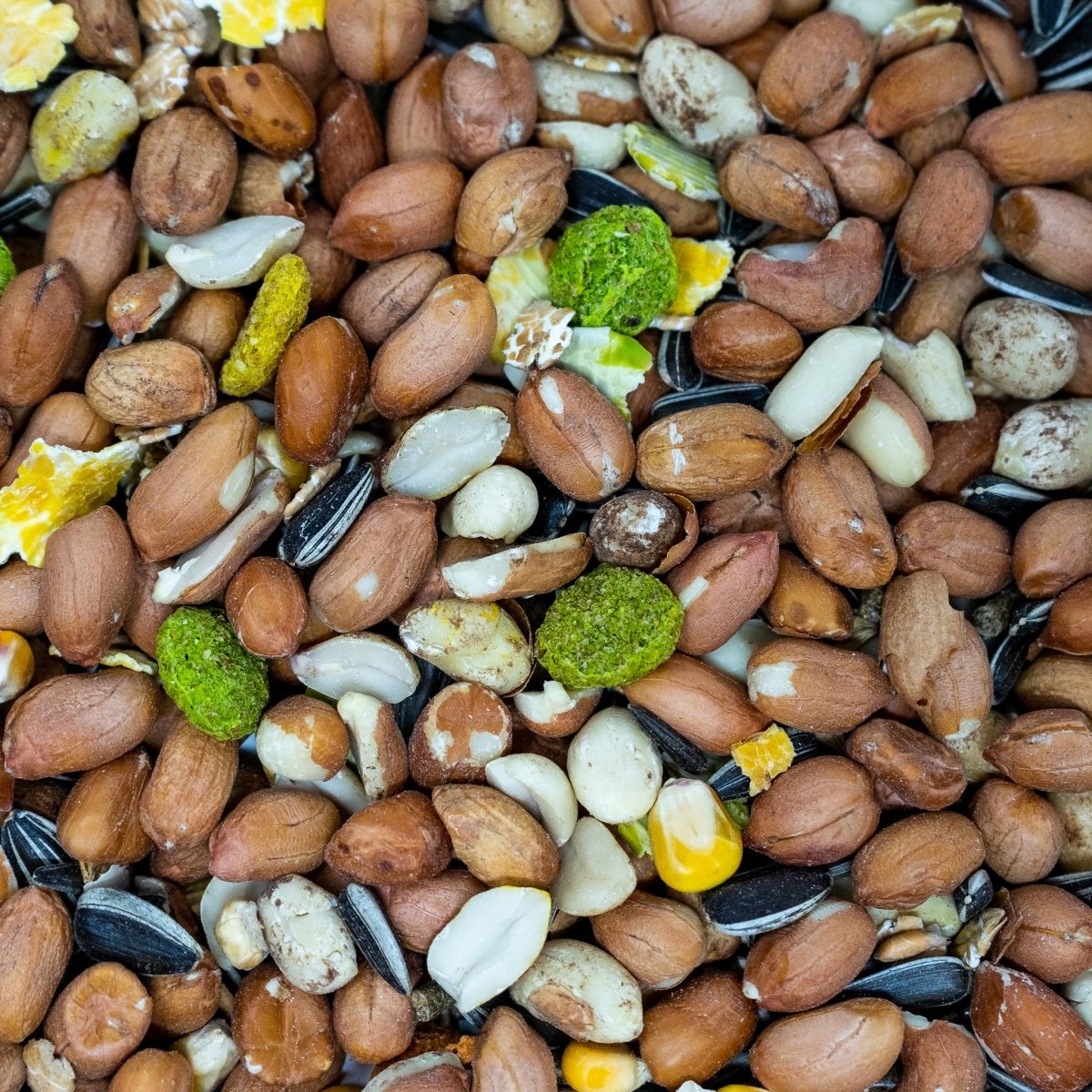 Ultimate Deluxe Squirrel Food Seed & Nut Feed Mix 900g - Seedzbox0604565387035