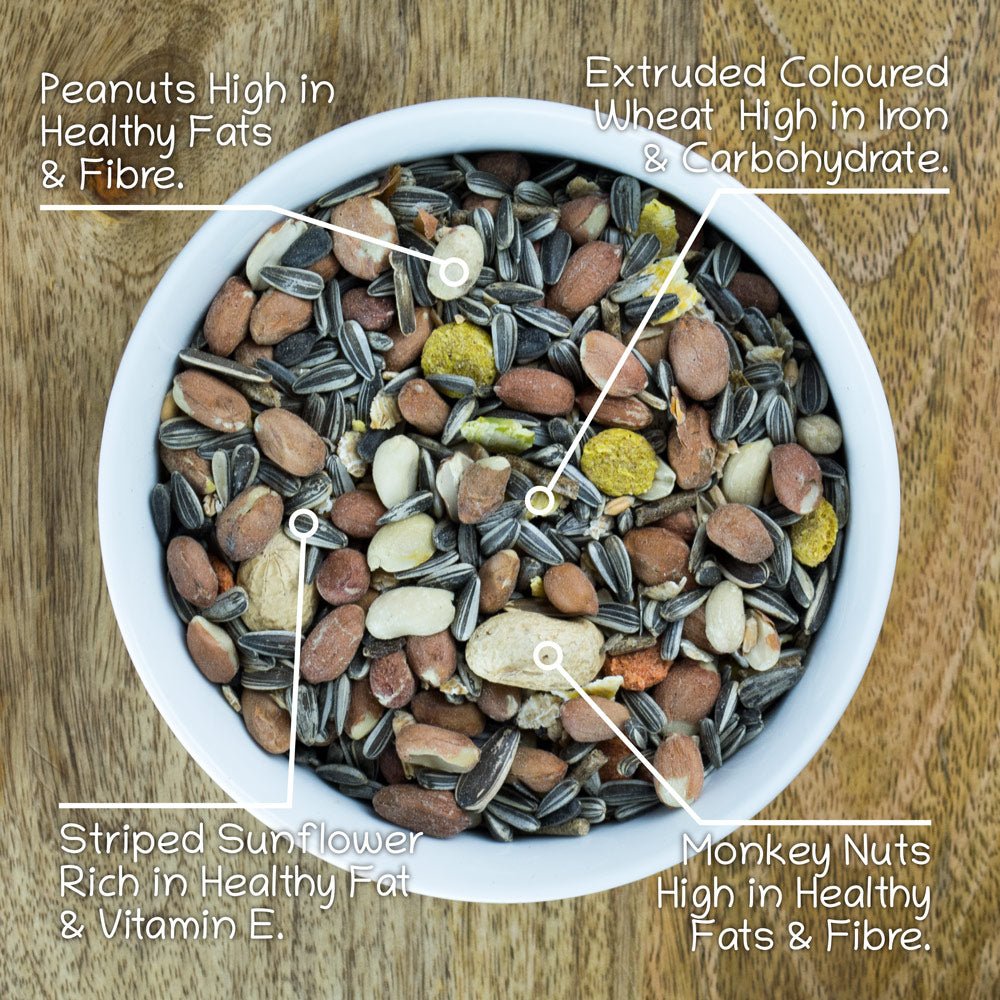 Ultimate Deluxe Squirrel Food Seed & Nut Feed Mix 900g - Seedzbox0604565387035