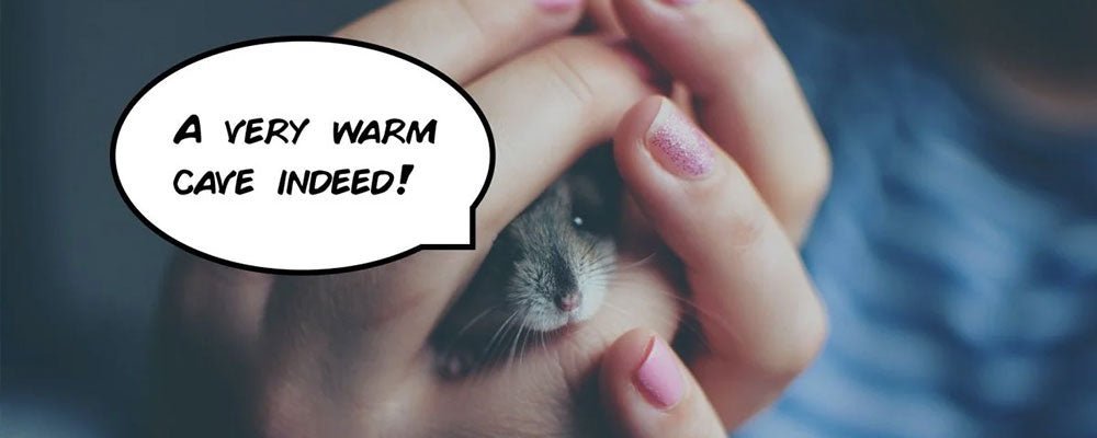 Hamster Sign Language