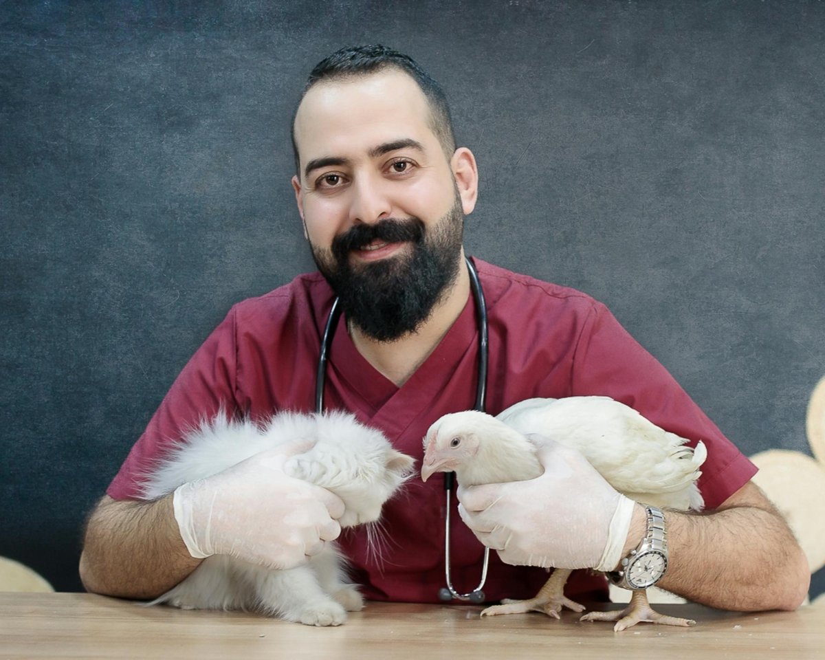 How to Keep Chickens Healthy and Maintain A Healthy Flock? - Seedzbox