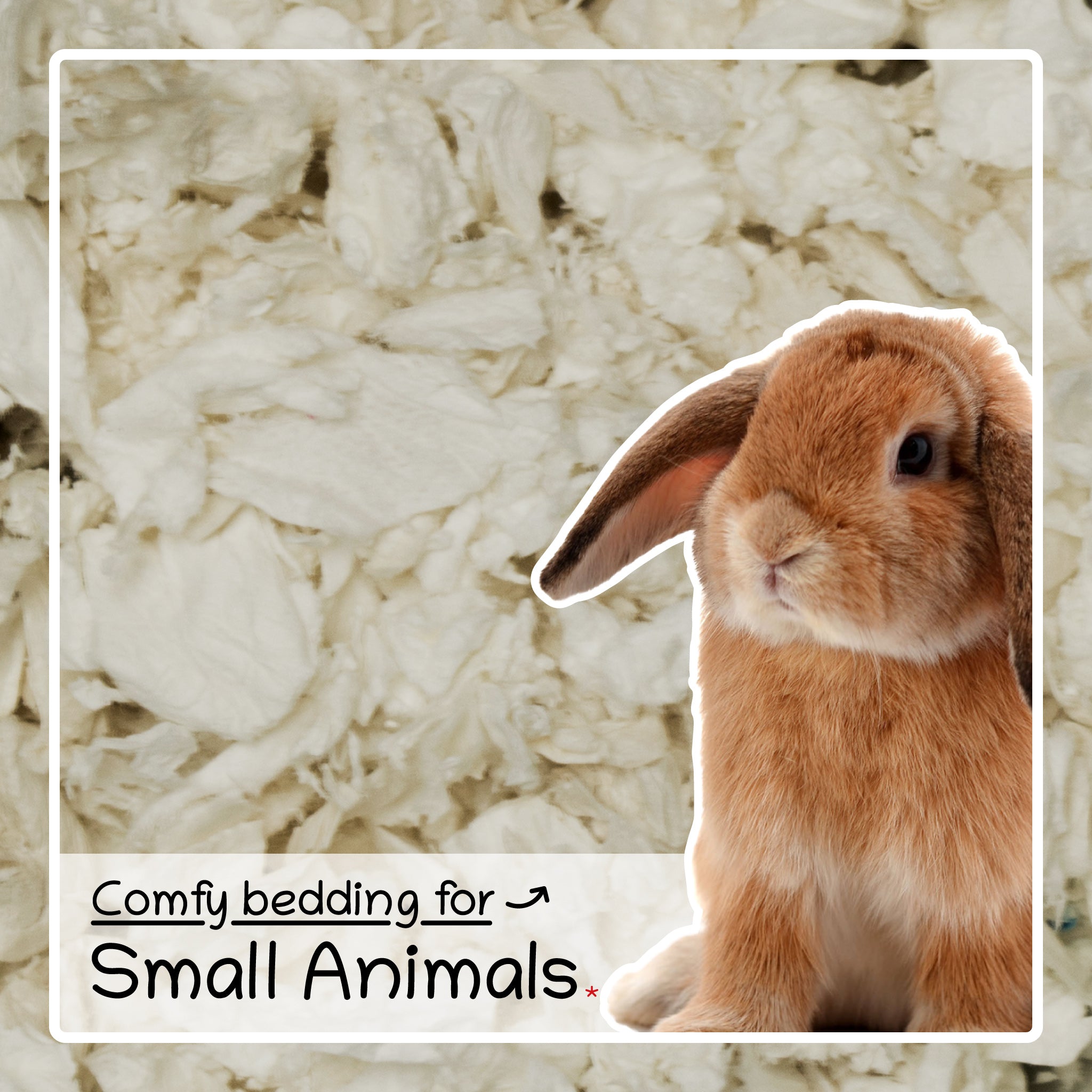 Paper Bedding Compressed and Absorbent 200g