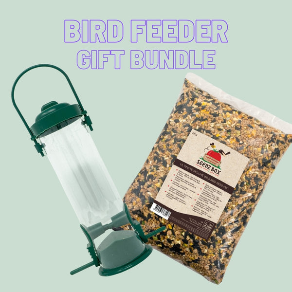 Bird Feeder & Bird Food Bundle Value Gift Set - Seedzbox5060910341537