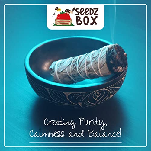 California White Sage Bundle of 3 x 4inch White Sage Smudge Sticks - Seedzbox5060910340646