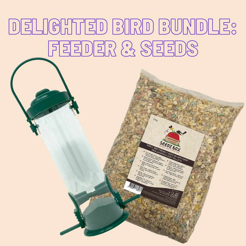 Delighted Bird Bundle: Feeder & Seeds - Seedzbox10046700086112