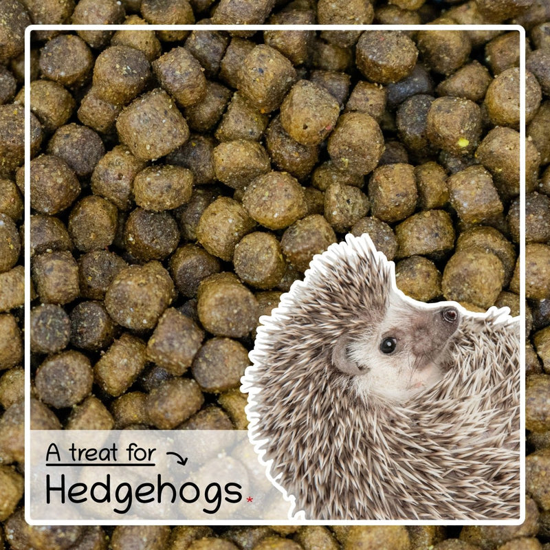 Hedgehog Complete Food - Seedzbox5060910340561