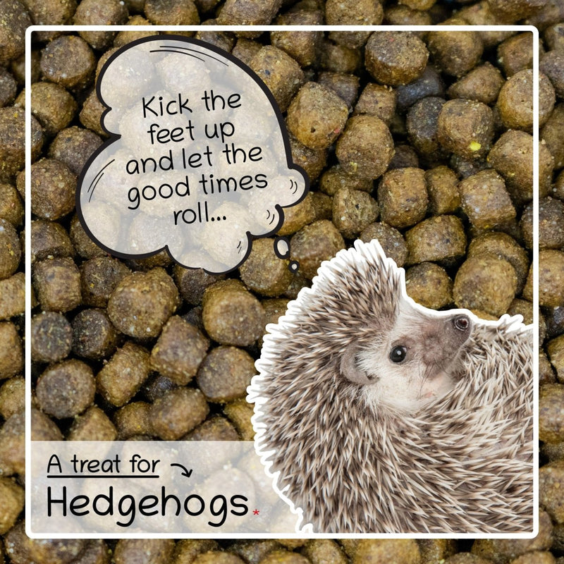 Hedgehog Complete Food - Seedzbox5060910340561