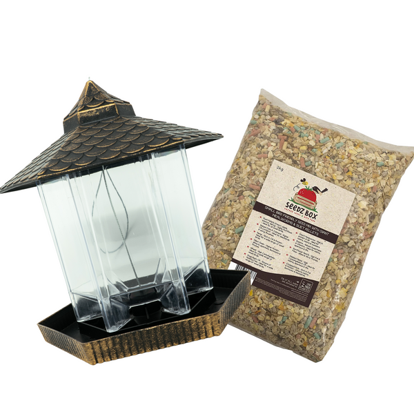 Bird Gazebo & seeds mix bundle (packed with mealworms & suet pellets)
