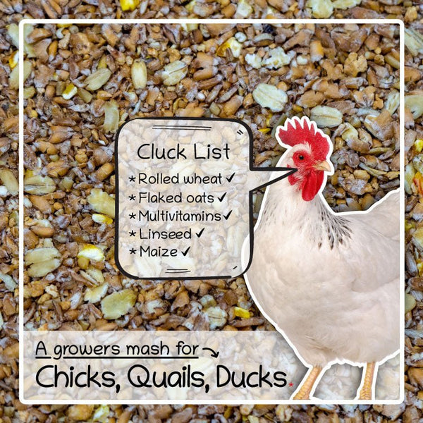 Poultry Chicks, Duckling & Quail Crumb Food Mix, 1.8g-5.5kg - Seedzbox0604565468109