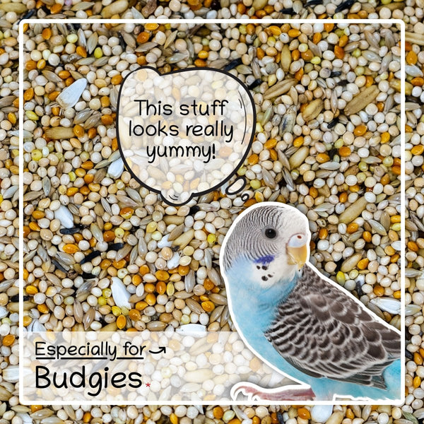 Ultimate Deluxe Budgie Food Budgerigar Seed Mix 1kg - Seedzbox0604565387004