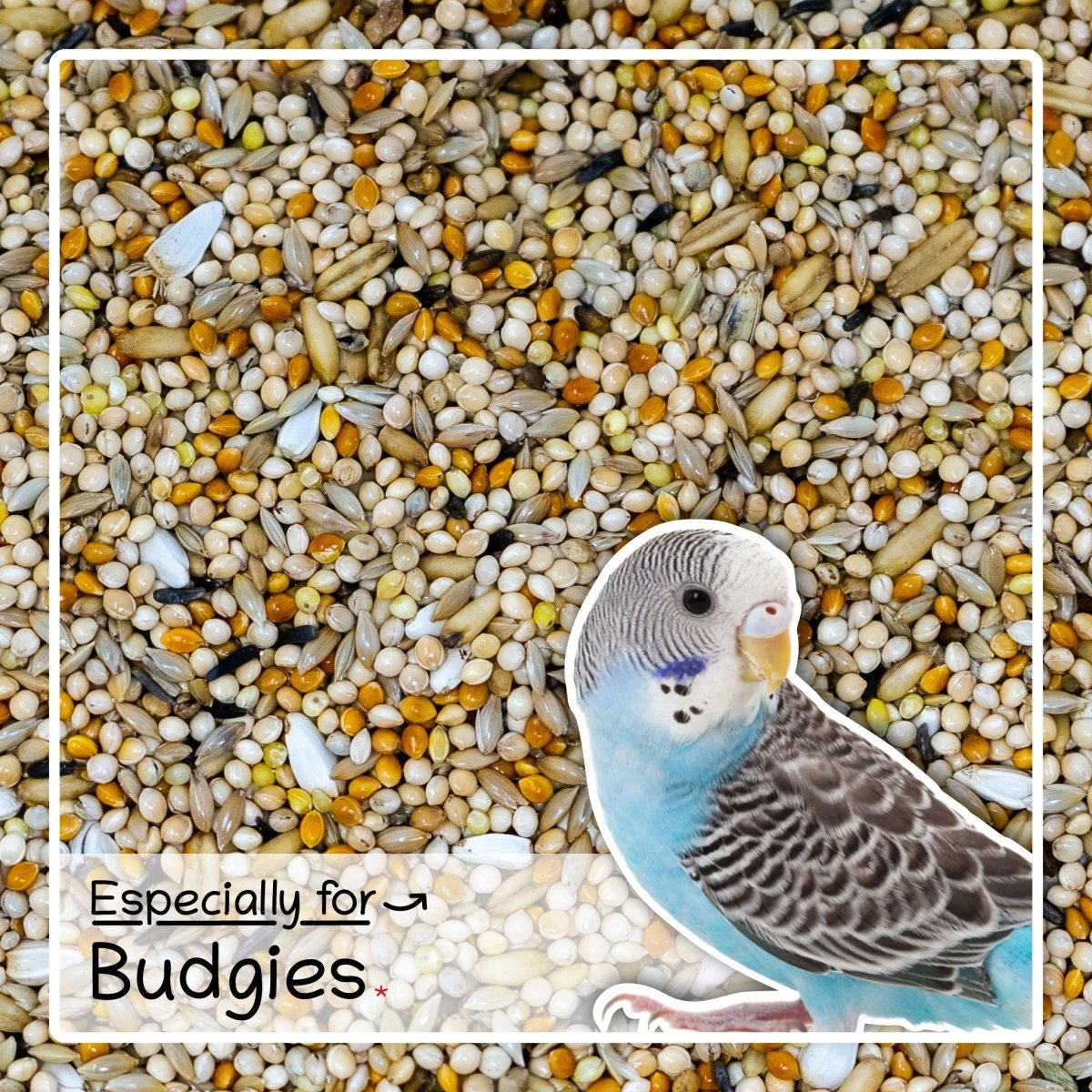 Ultimate Deluxe Budgie Food Budgerigar Seed Mix 1kg - Seedzbox0604565387004