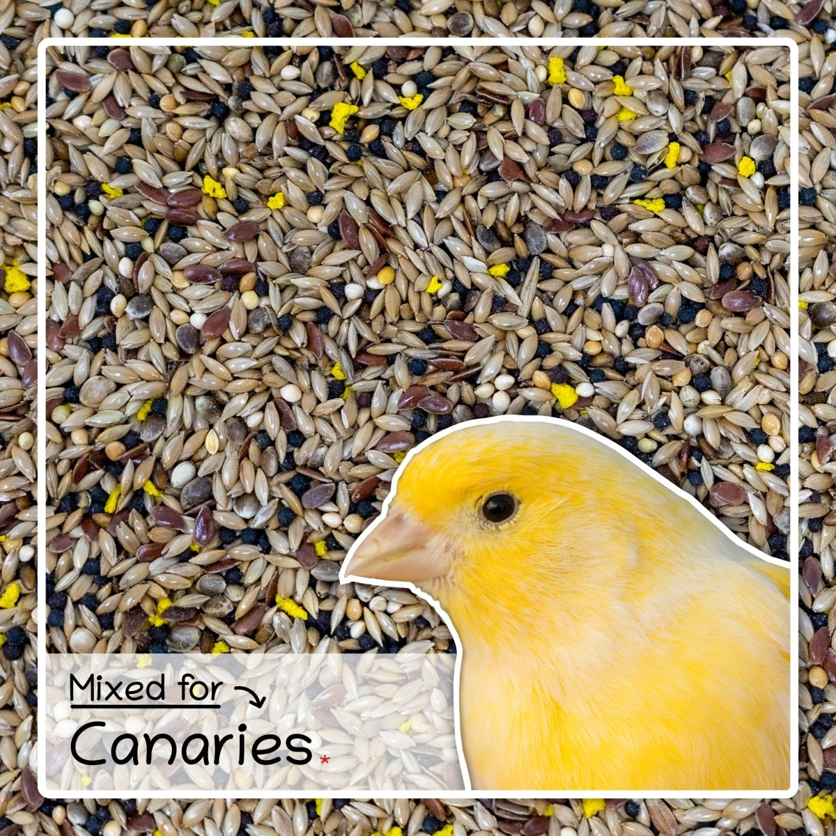 Ultimate Deluxe Canary Bird Food Seed Mix, 1kg - Seedzbox0604565468086