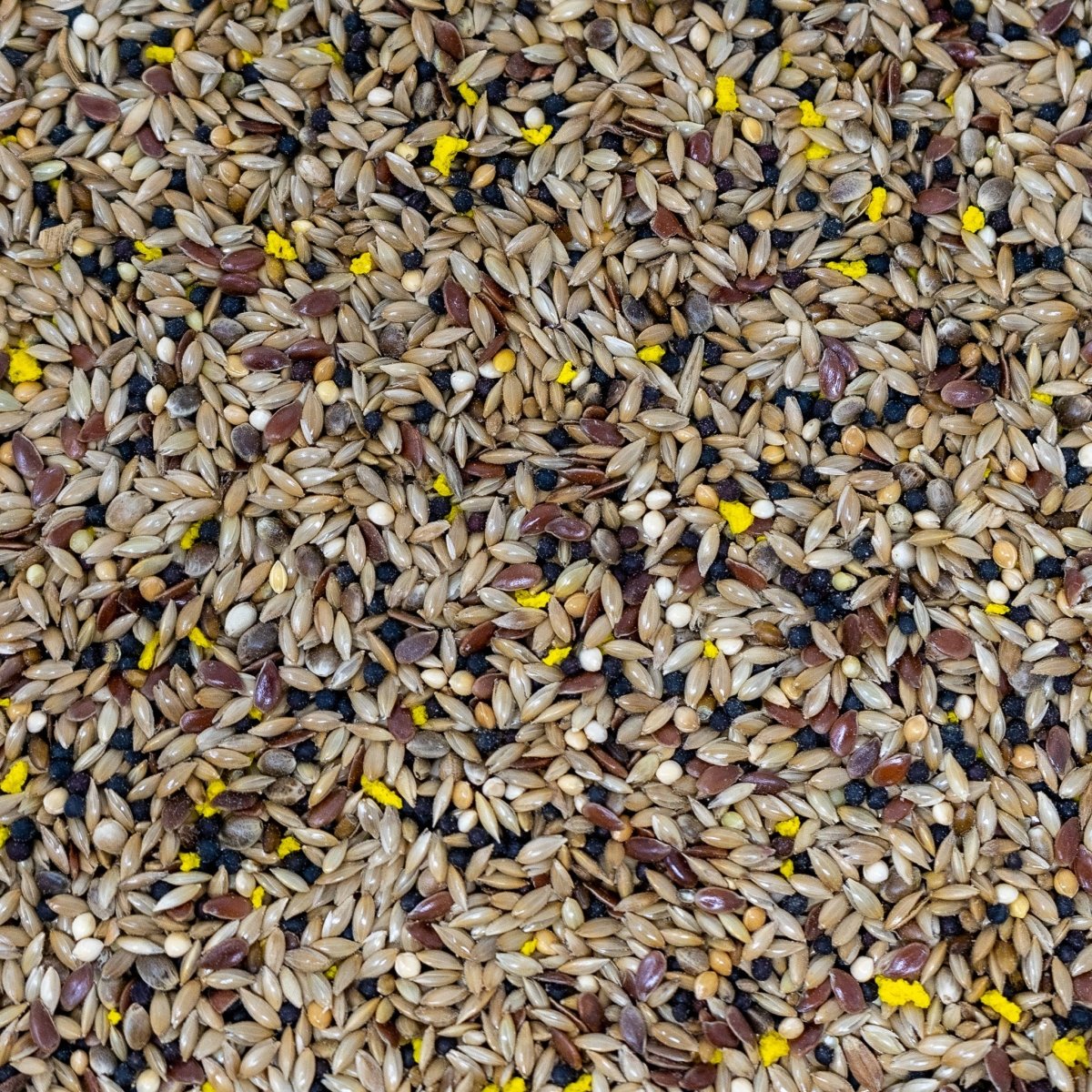 Ultimate Deluxe Canary Bird Food Seed Mix, 1kg - Seedzbox0604565468086