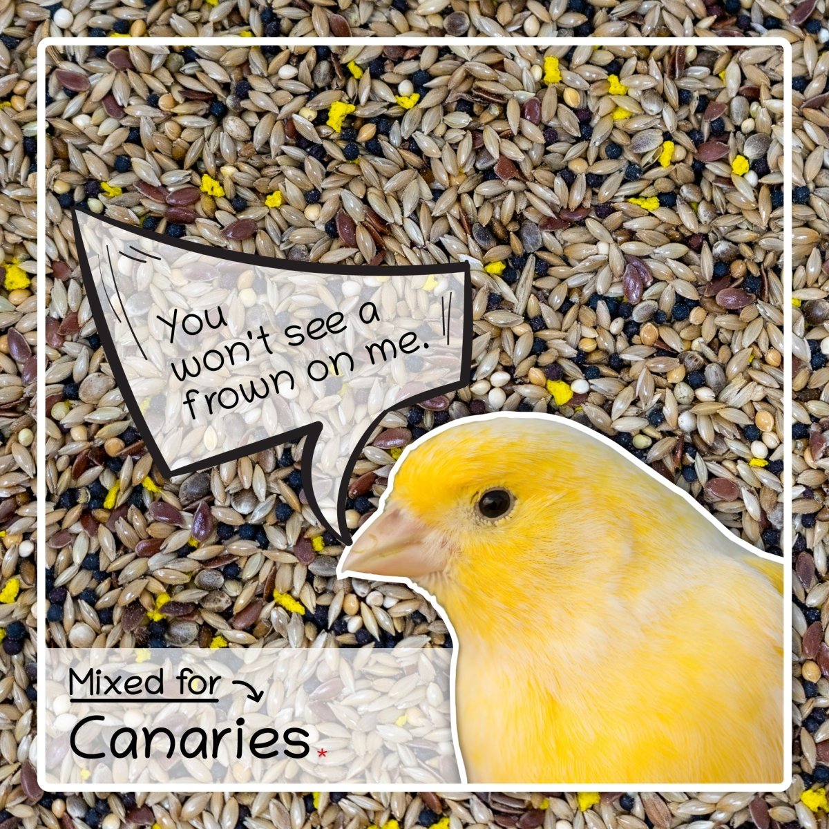 Ultimate Deluxe Canary Bird Food Seed Mix, 1kg - Seedzbox0604565468086