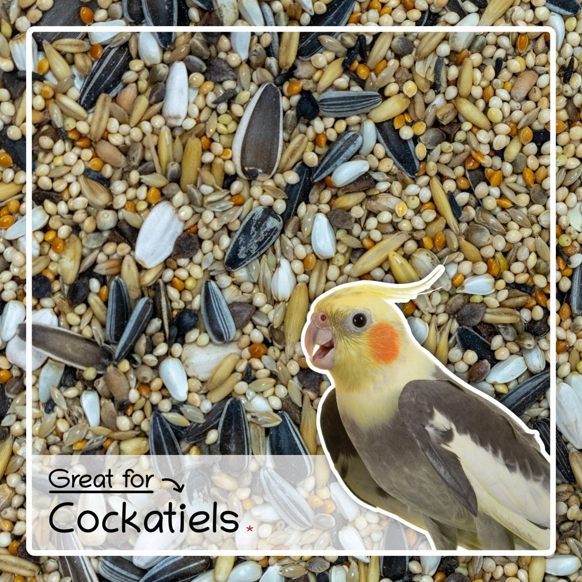 Ultimate Deluxe Cockatiel Bird Food Seed & Nut Mix, 1kg Bag - Seedzbox0604565468123