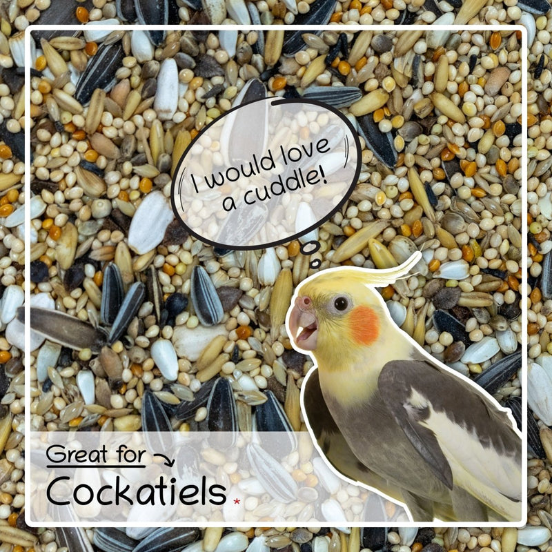 Ultimate Deluxe Cockatiel Bird Food Seed & Nut Mix, 1kg Bag - Seedzbox0604565468123