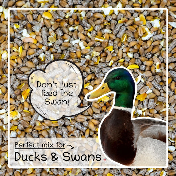 Ultimate Deluxe Duck & Swan Food Feed Mix 1kg - Seedzbox0604565387011