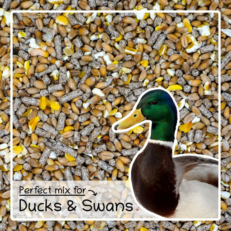 Ultimate Deluxe Duck & Swan Food Feed Mix 1kg - Seedzbox0604565387011