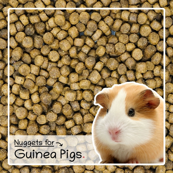 Ultimate Deluxe Guinea Pig Food Nuggets Mix 2kg - Seedzbox0604565424938