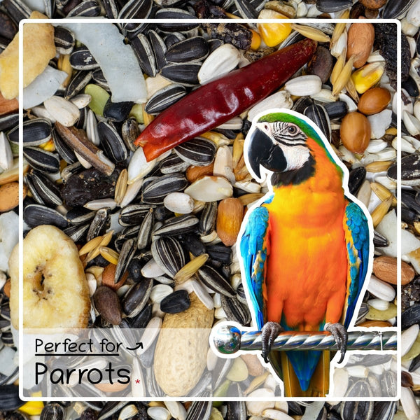 Ultimate Deluxe Parrot Food Seed & Nut Feed Mix 2kg - Seedzbox0604565386991