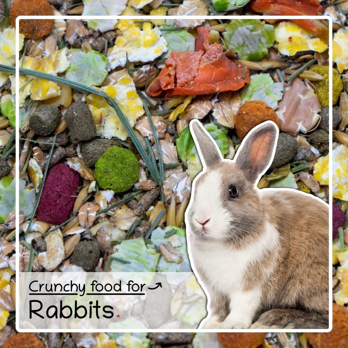Different Rabbit Food Rabbit Food 1.8kg - Grain & Veg Feed For Rabbits