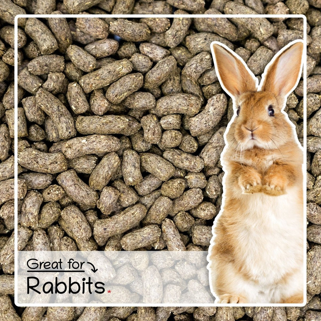Ultimate Deluxe Rabbit Nuggets Mix 2kg - Seedzbox0604565424921