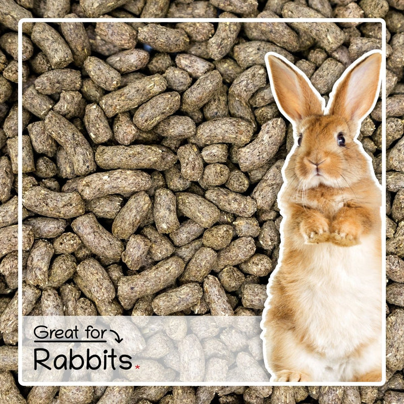 Rabbit Food Nuggets 1.8kg - Complete Food For Rabbits | Seedzbox